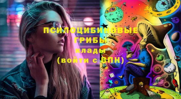 прущая мука Богородск