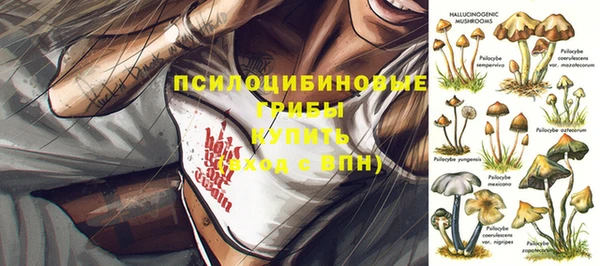 2c-b Богданович