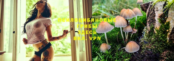 a pvp Богородицк