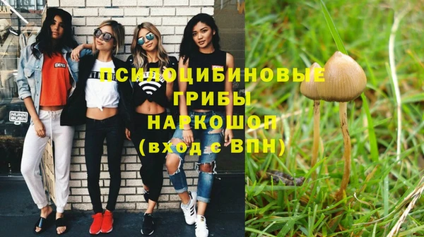 a pvp Богородицк